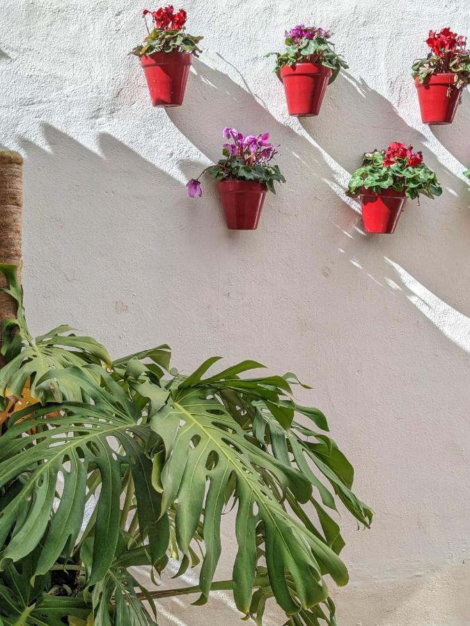 Harbor Getaway In The Heart Of Puerto Banus With Walking Dictance To Everything Marbella Esterno foto